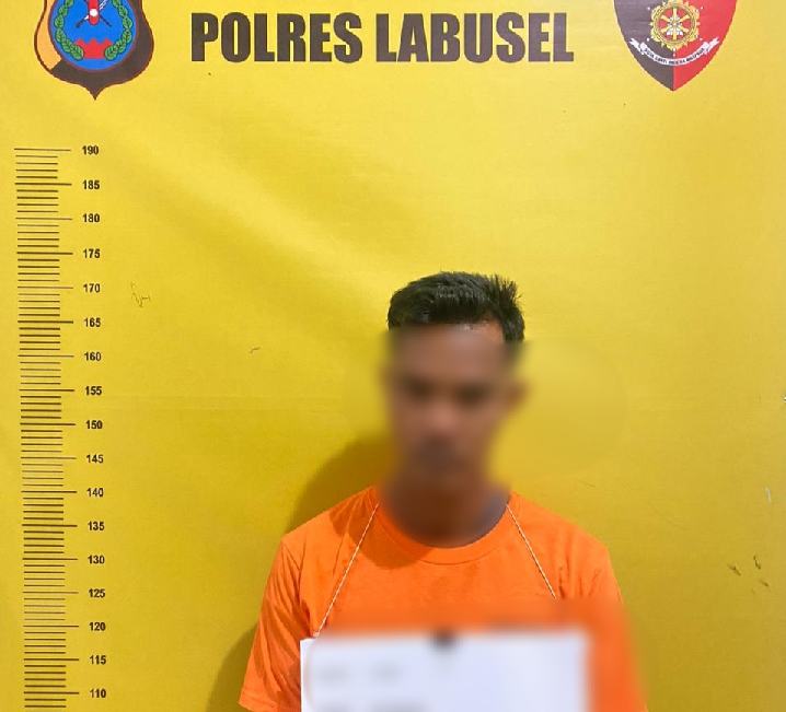 Tersangka dugaan pencabulan anak tiri diamankan.