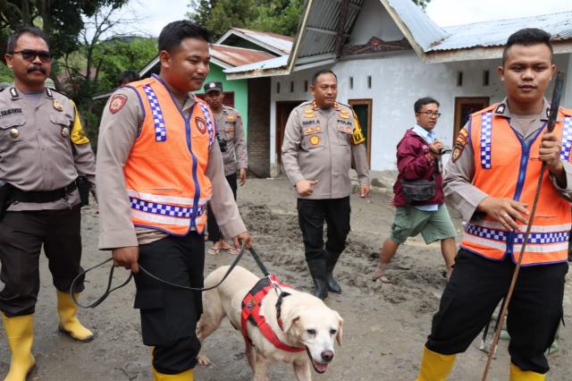 Anjing pelacak dikerahkan untuk membantu pencarian korban longsor di Humbahas.
