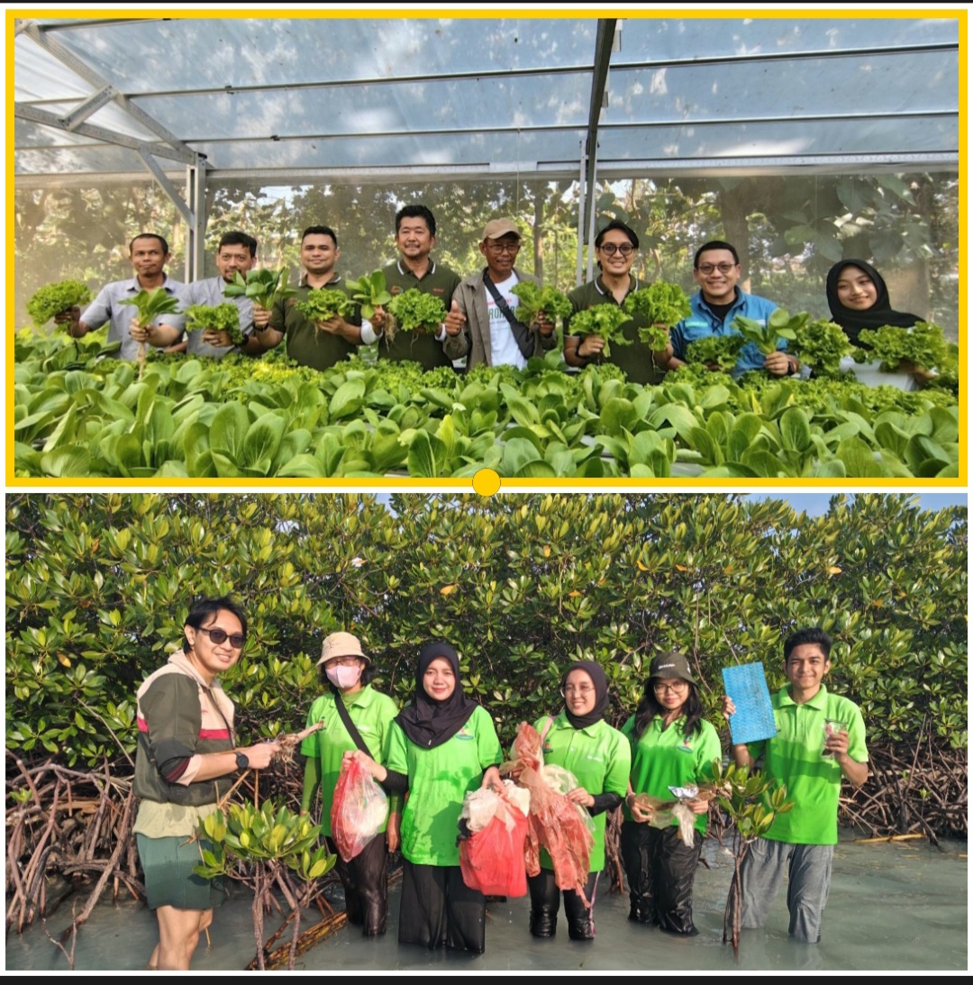 Shinji Teraoka, Presiden Direktur, PT Sharp Electronics Indonesia bersama perwakilan benihbaik, pelatih program Sharp Hydro Heroes berfoto bersama saat proses panen.( atas). Anggota Sharp Greenerator bersama perwakilan Sharp dan fasilitator melakukan aksi bersih bersih pantai. ( bawah)