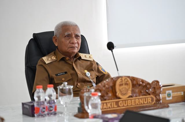Wakil Gubernur (Wagub) Sumatera Utara (Sumut) Surya