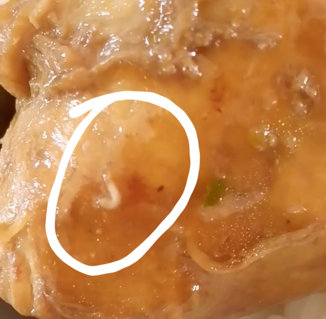 Viral Menu MBG Di Nias Selatan Dihinggapi Ulat, Dapur MBG Diminta Tanggungjawab.