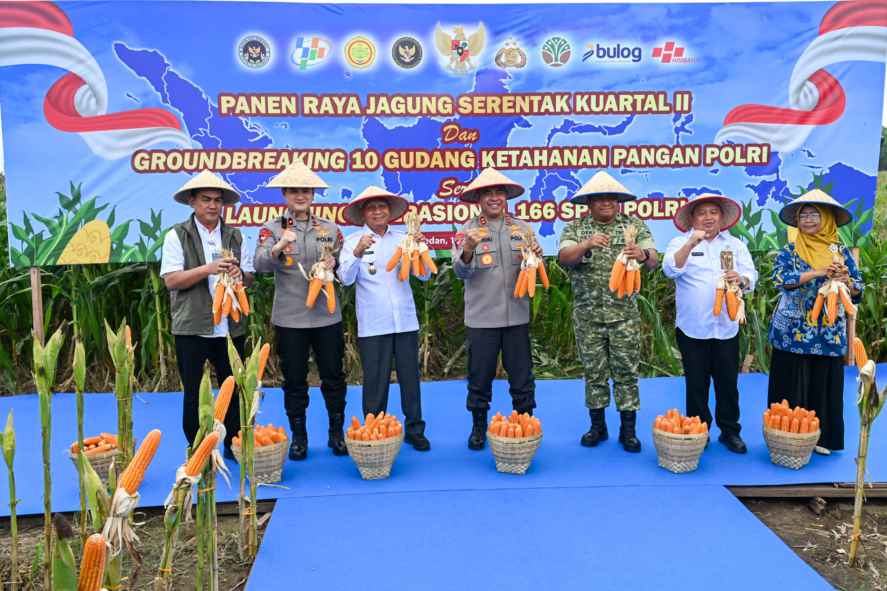 Wakil Gubernur Sumut, Surya menghadiri Panen Raya Jagung serentak Kuartal II di Desa Telaga Sari, Tanjung Morawa, Kabupaten Deliserdang, Sabtu (16/5/2026). Panen jagung ini dilaksanakan serentak se-Indonesia dan dihadiri secara langsung oleh Presiden Republik Indonesia Prabowo Subianto di Jawa Timur.