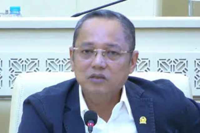 Anggota Fraksi PDIP DPR RI, Deddy Sitorus.